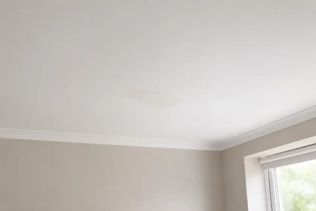 Humedad en techo o pared por una posible fuga de agua oculta